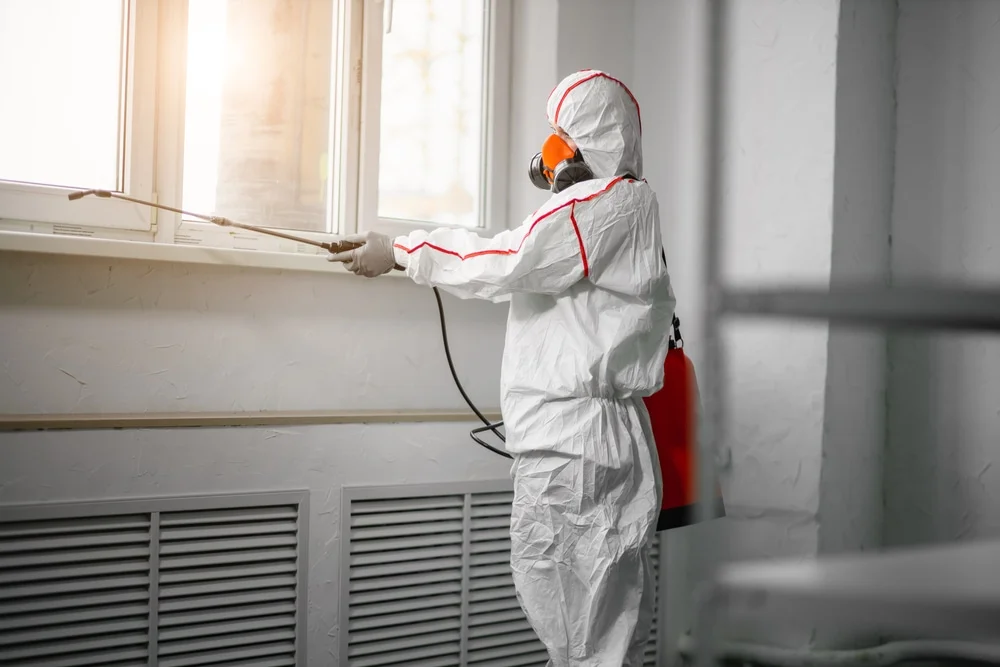 Professional mold remediation services in Titusville, NJ
